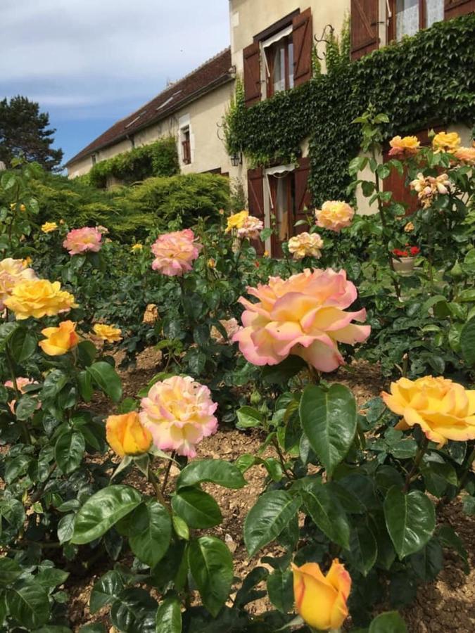 Entre Canal Et Vignes Bed & Breakfast Escolives-Sainte-Camille Dış mekan fotoğraf